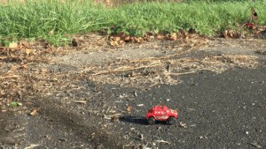 Cars Crushed Under Combat Boots