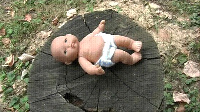 Victim On The Log